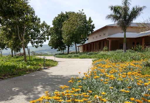 Israel Vipassana Center - Visit Kibbutz Degania Bet in Israel