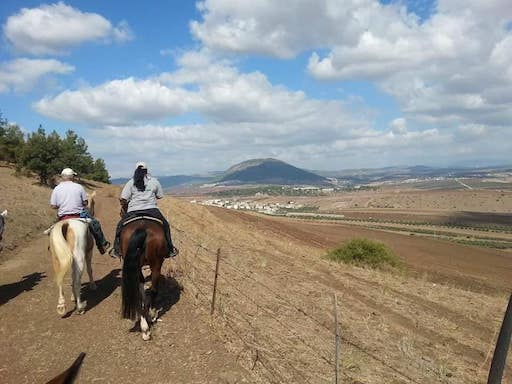 Horseback Riding and Stable - Visit Kibbutz Ein Dor in Israel