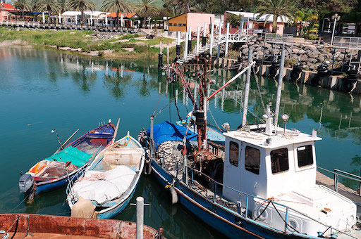 Ein Gev Tourism - Visit Kibbutz Ein Gev in Israel