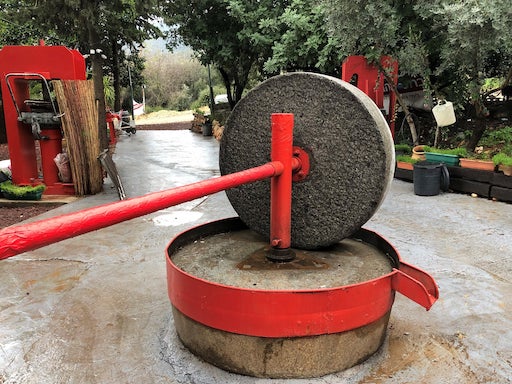 Saba Habib Olive Press, Store and Visitor Center - Visit Kibbutz Parod in Israel