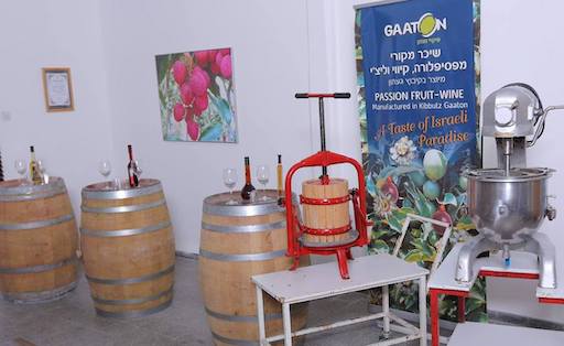 Gaaton Fruit Wine Distillery - Visit Kibbutz Gaaton in Israel