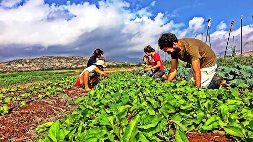 Kaima Organic Farm - Visit Kibbutz Hukok in Israel