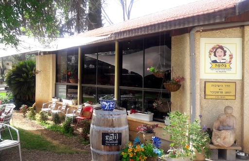 Bluma Cafe and Art Gallery - Visit Kibbutz Kfar Blum in Israel