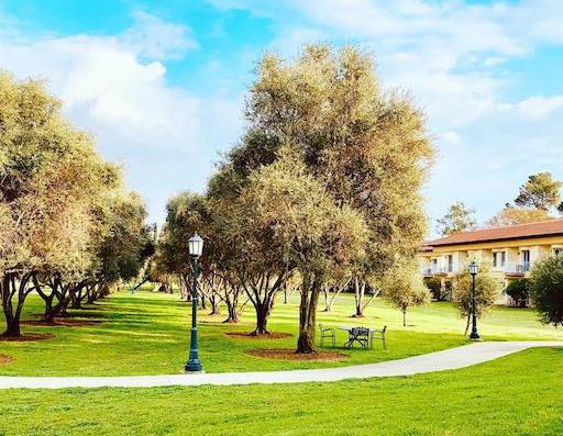 Pastoral Hotel - Visit Kibbutz Kfar Blum in Israel