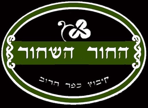 Black Hole Pub - Visit Kibbutz Kfar Haruv in Israel