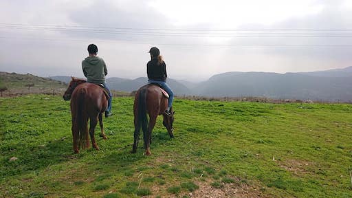Stable and Horseback Riding - Visit Kibbutz Malkia in Israel