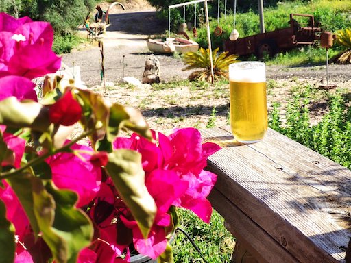 Galil Beer Brewery - Visit Kibbutz Matsuva in Israel