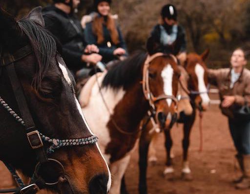 Cowboy Ranch Horseback Riding - Visit Kibbutz Merom Golan in Israel