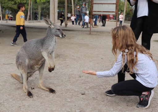 Gan Garoo Australian Zoo - Visit Kibbutz Nir David in Israel