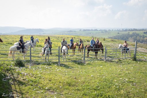 Dubi Ranch Horseback Riding - Visit Kibbutz Ramot Menashe in Israel