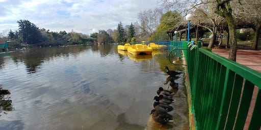 Petting Zoo and Lake - Visit Kibbutz Yiron in Israel